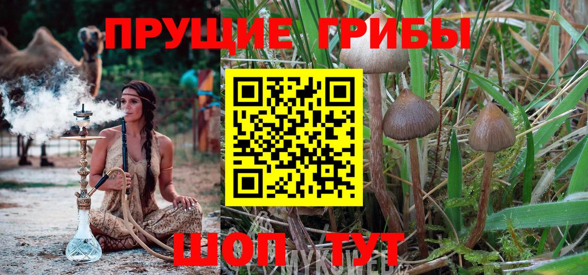 Галлюциногенные грибы ЛСД Мыски